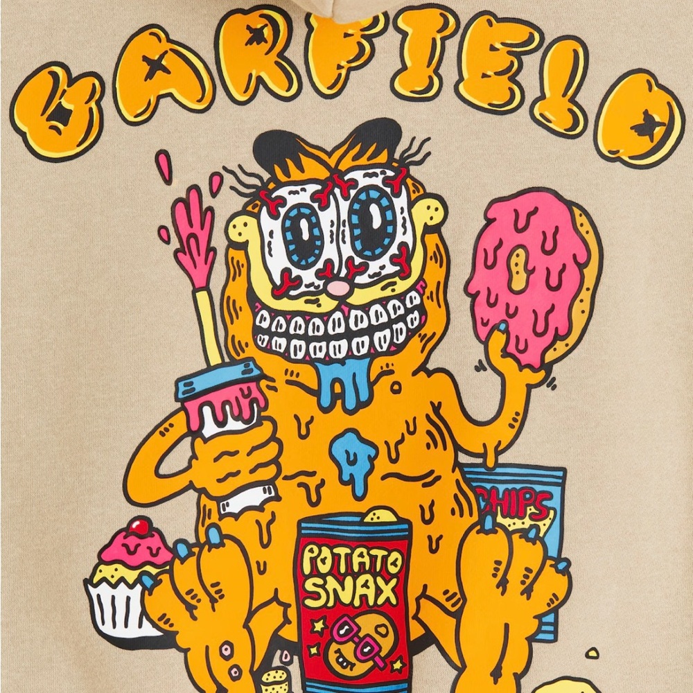 Boys H&M Garfield hooded sweatshirt